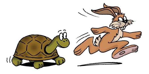 Tortoise V Hare When2Pray